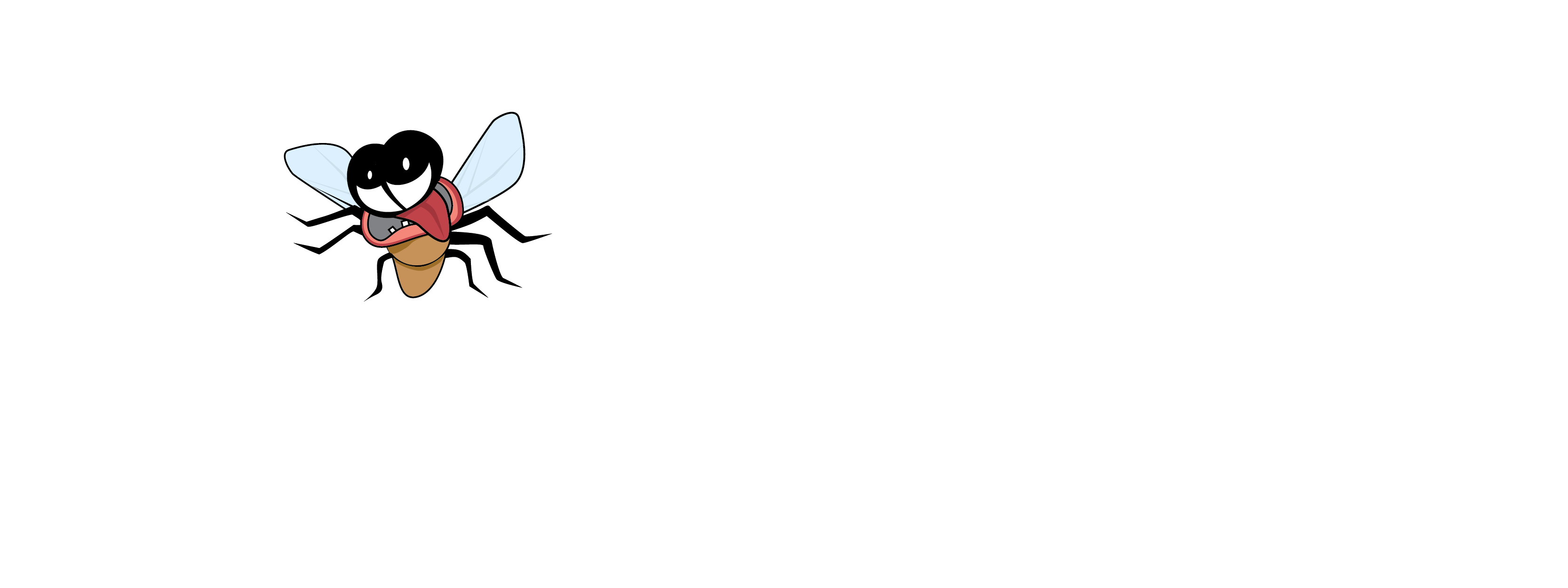 Fly Screening Solutions
